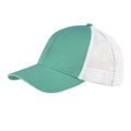 variant:Mint/White